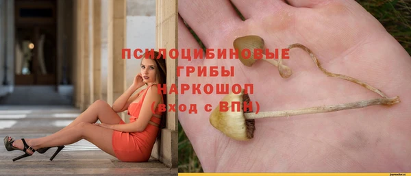 каннабис Арсеньев