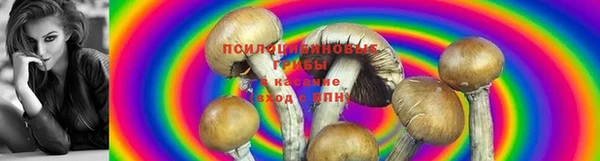 каннабис Арсеньев