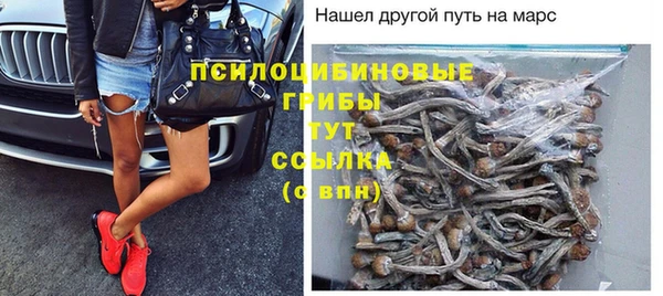 каннабис Арсеньев