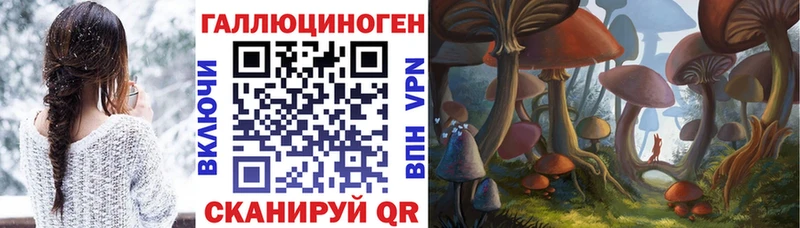 Псилоцибиновые грибы Cubensis  hydra вход  Сольцы 